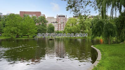 Chinatown Apartment for rent Studio 1 Bath Boston - $3,297 No Fee