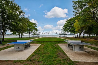Dorchester Apartment for rent 1 Bedroom 1 Bath Boston - $3,483 No Fee