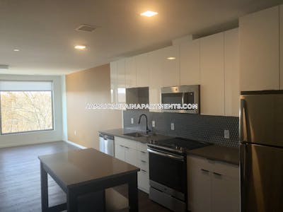 Jamaica Plain Apartment for rent 2 Bedrooms 2 Baths Boston - $4,750 No Fee