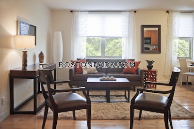 Brighton Apartment for rent 1 Bedroom 1 Bath Boston - $3,308 No Fee