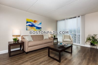 Cambridge Apartment for rent 1 Bedroom 1 Bath  Central Square/cambridgeport - $3,165 No Fee