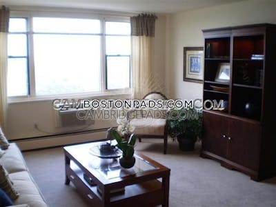 Cambridge Apartment for rent 3 Bedrooms 1.5 Baths  Mt. Auburn/brattle/ Fresh Pond - $6,606 No Fee