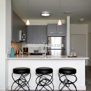 Quincy Apartment for rent 2 Bedrooms 2 Baths  Quincy Center - $3,027 No Fee
