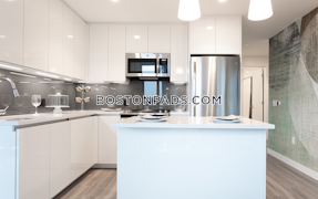 West End Apartment for rent 2 Bedrooms 2 Baths Boston - $11,846