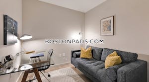 Brighton 2 bedroom  Luxury in BOSTON Boston - $3,765