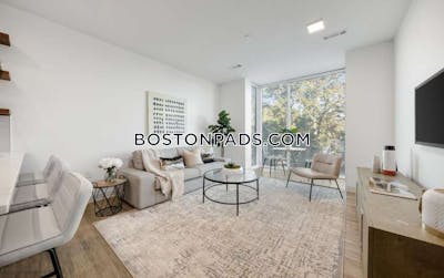 Brighton Apartment for rent 1 Bedroom 1 Bath Boston - $3,589