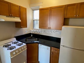 Northeastern/symphony Apartment for rent 1 Bedroom 1 Bath Boston - $3,250 No Fee
